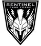 Sentinel Task Force 