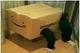 Fierce Amazon box 2
