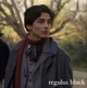 Regulus Black