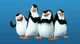 Penguins of madagasc