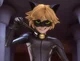 Chat Noir