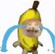 Banana cat