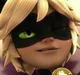 Cat Noir