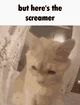 But Heres The AI