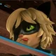Cat noir