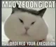 mao zedong cat