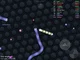 slither io