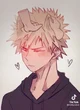Katsuki Bakugou dog