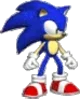 Crap Sonic