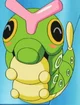 Caterpie