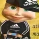 Masha