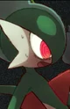 Alpha Gallade