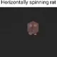 Spinning Rat