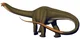 Apatosaurus