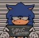 Sonic in jail