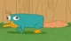 Perry the platypus