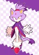 Blaze the Cat