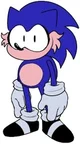Hog the hedgehog
