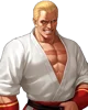 Geese Howard