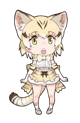 Sand Cat