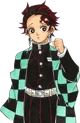 Tanjiro Kamado 