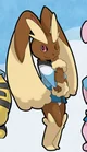 Coco the Lopunny