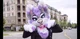 Furry