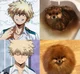 Bakugo Pomeranian 