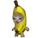 banana cat