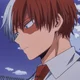 Shoto Todoroki