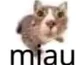 miau