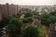 The Bronx RP