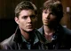 Winchesters