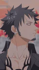 Trafalgar Law