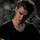 Stefan Salvatore 