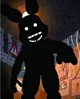 shadow bonnie