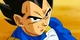 Best Friend Vegeta