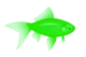 Green fish