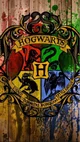 Hogwarts Group