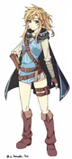 Female BotW Link