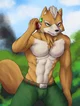 Fox Mccloud