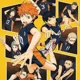 Haikyuu grub