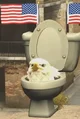 Eagle skibidi toilet