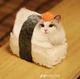 Gato Sushi