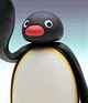 Pingu
