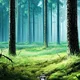 Lonely Forest