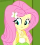 Flutter Shy