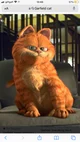Garfield The Cat