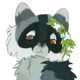 OC- RaccoonPaws