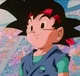 Goku Jr